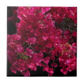 Bougainvillea赤い熱帯性乾性低木の写真 タイル (正面)