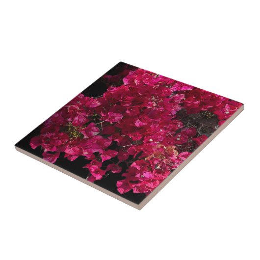Bougainvillea赤い熱帯性乾性低木の写真 タイル (側面)