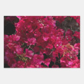 Bougainvillea赤い熱帯性乾性低木の写真 ラッピングペーパーシート (正面)