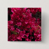 Bougainvillea赤い熱帯性乾性低木の写真 缶バッジ (正面)