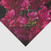 Bougainvillea赤い熱帯性乾性低木の写真 薄葉紙 (詳細)