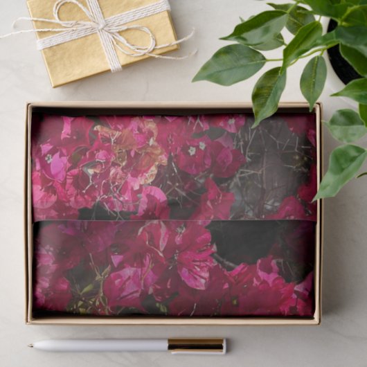 Bougainvillea赤い熱帯性乾性低木の写真 薄葉紙 (ギフト)