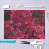 Bougainvillea赤い熱帯性乾性低木の写真 薄葉紙 (クラフト)