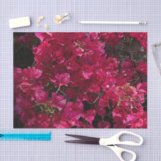 Bougainvillea赤い熱帯性乾性低木の写真 薄葉紙 (クラフト)