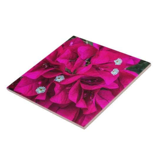Bougainvillea Speaks for Itself Ceramic Tile タイル (側面)