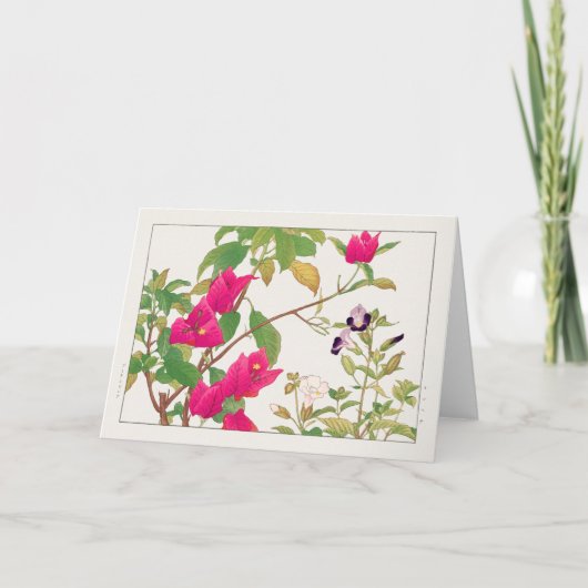 Bougainvillea、Wishbone flower by Tanigami Konan カード (正面)