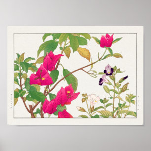 Bougainvillea、Wishbone flower by Tanigami Konan ポスター