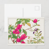 Bougainvillea、Wishbone flower by Tanigami Konan ポストカード (正面/裏面)