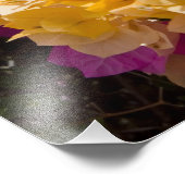 Bouganvilleau、ケイマン・ブラック、ケイマン諸島、 フォトプリント (角)