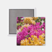 Bouganvilleau、ケイマン・ブラック、ケイマン諸島、 マグネット (正面/裏面)