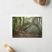 Boulder and Roots – Nature’s Resilience Photo ノートカード (正面/裏面インサイチュ)