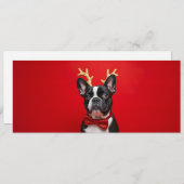 Bouledogue Français de noël au nœud papillon  (正面/裏面)