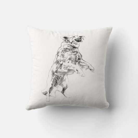 Bounding Through Fall Skies クッション (裏面)