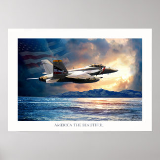 Bounty hunter F 18 fighter jet ポスター