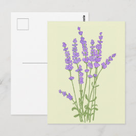 Bouquet de fleurs lavande. ポストカード