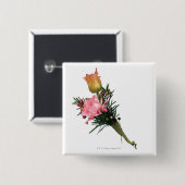 Boutonniere 缶バッジ (正面&裏面)