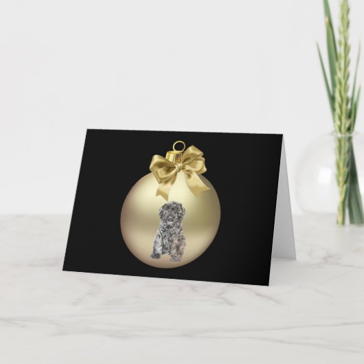 Bouvier desフランダース シーズンカード (正面)