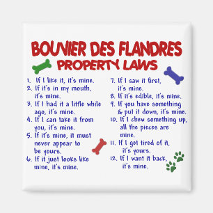 BOUVIER DES FLANDRESの特性の法律2 マグネット
