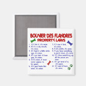 BOUVIER DES FLANDRESプロパティの法則2 マグネット (正面/裏面)