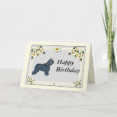 Bouvier des Flandres -誕生日 カード (正面)