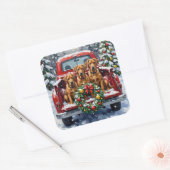 Bouvier des Flandres Christmas Red Truck Holiday スクエアシール (封筒)