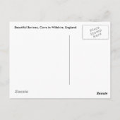 Bovines, Cooes in Wiltshire, England ポストカード (裏面)