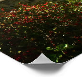 Bow Bridge in Autumn, Central Park, NYC, Medium ポスター (角)