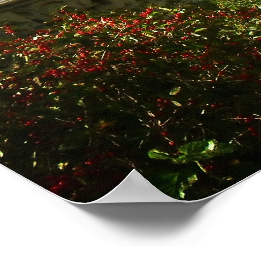 Bow Bridge in Autumn, Central Park, NYC, Medium ポスター (角)