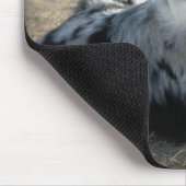 Bowdie -スカイブルーのオーストラリアのマウスパッド マウスパッド (コーナー)