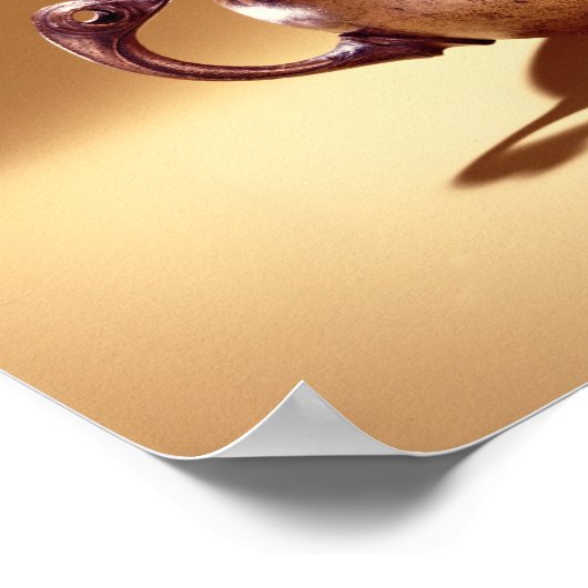 Bowl, Keshcargan, County Leitrimから ポスター (角)