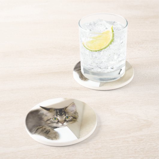 Box子猫 コースター (側面)