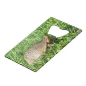 Box Turtle クレジットカード栓抜き (正面アングル)
