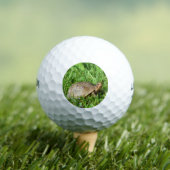 Box Turtle ゴルフボール (インサイチュ 木)