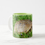 Box Turtle ツートーンマグカップ (正面左)