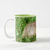 Box Turtle ツートーンマグカップ (左)