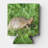 Box Turtle 缶クーラー (正面)