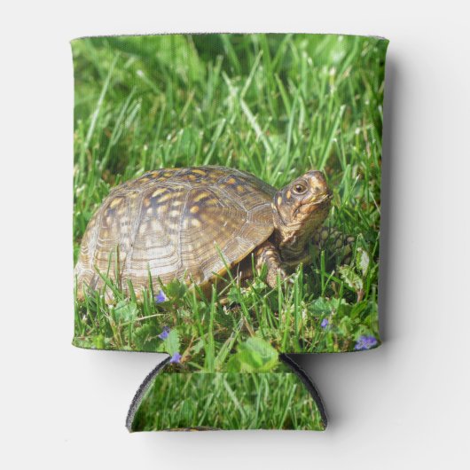 Box Turtle 缶クーラー (正面)