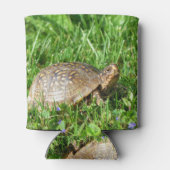 Box Turtle 缶クーラー (裏面)