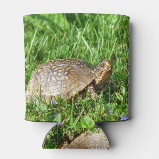 Box Turtle 缶クーラー (裏面)