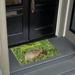 Box Turtle Doormat ドアマット
