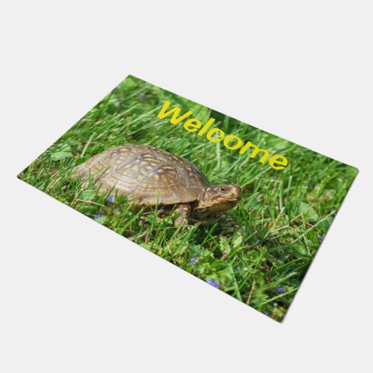 Box Turtle Doormat ドアマット (アングル)