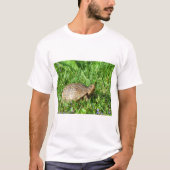 Box Turtle Tシャツ (正面)