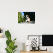 Boxer Dog Laying on a Rock ポスター (ホームオフィス)