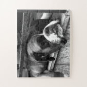 Boxer Dog On Windows Sill 11x14 30pc jpcn ジグソーパズル (縦)