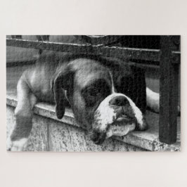 Boxer Dog On Windows Sill 20x30 1014pc jpcn ジグソーパズル