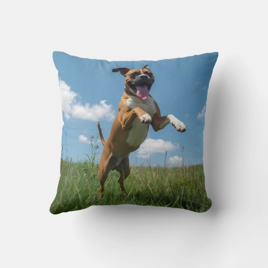 Boxer Elegant Throw Pillow クッション (裏面)