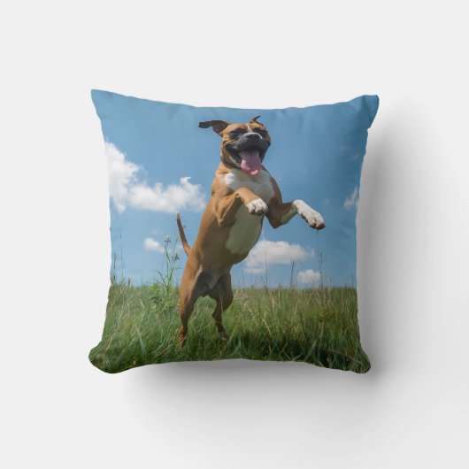 Boxer Elegant Throw Pillow クッション (正面)