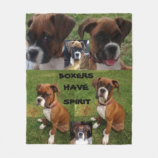 BOXERS HAVE SPIRIT コラージュ フリース (正面)