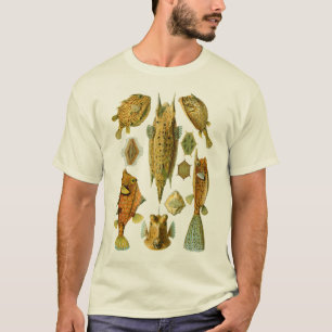 BoxfishかCowfish Tシャツ