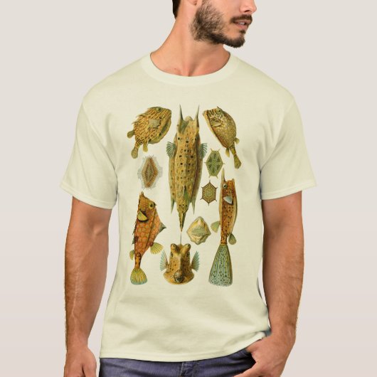 BoxfishかCowfish Tシャツ (正面)